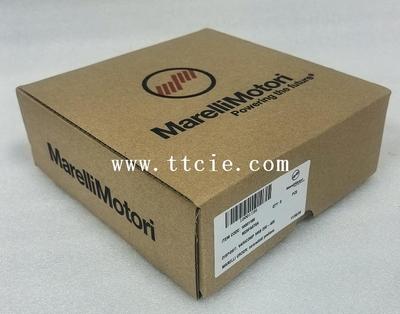 MarelliMotori M31FA600A