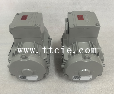 Siemens 1CV4282B 1LE55042DB234JB4-Z岳林纸业电机