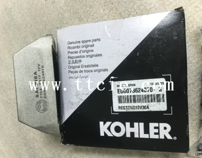 Kohler Lombardini LDW 1404