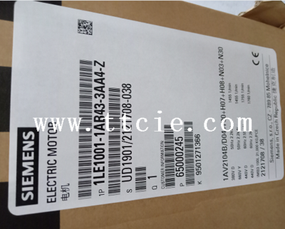 Siemens 1LE5504-3AB03-4JB4-Z 110KW 岳林纸业茵梦达电机