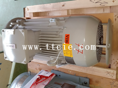 西门子电机1LE5583-4AB53-4AF3-Z 茵梦达