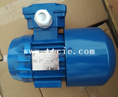 Cantoni SLg 180M-4, 18.5kW