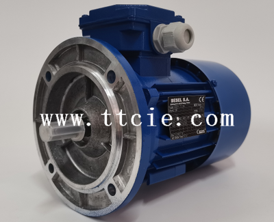 Cantoni 2SIE 132M-6A, 4KW
